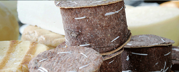 Brânza de burduf