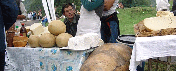 Cheese festival in Sibiu